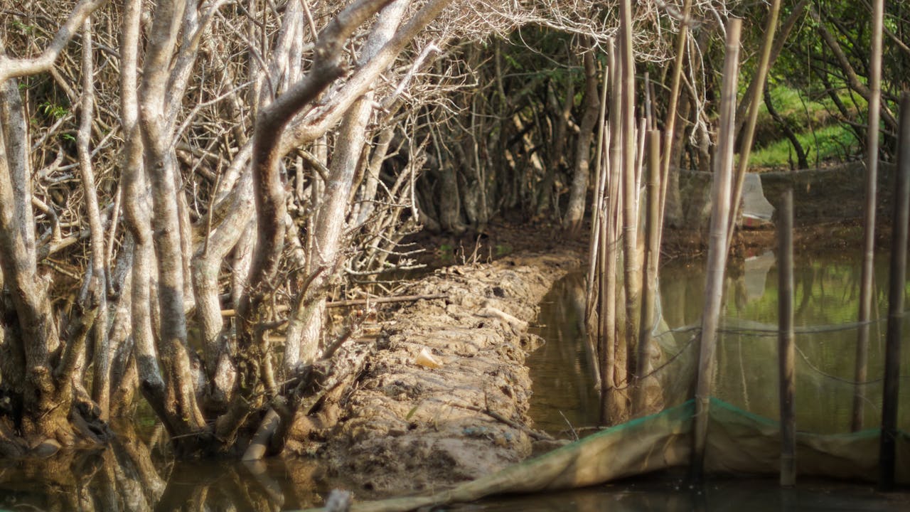 Gián điệp mạng | Chương 17