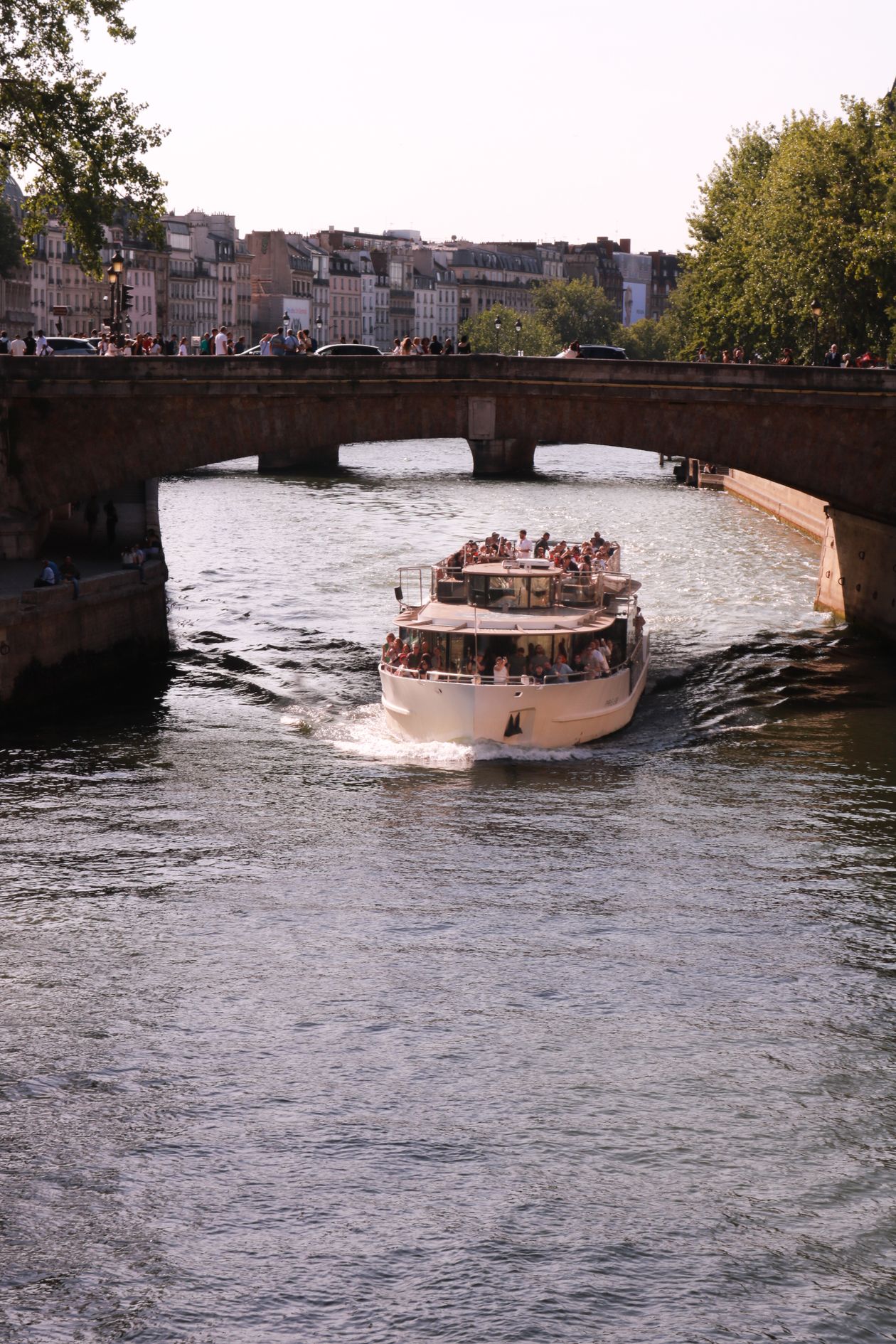 Tour boat cruising on the Seine under a historic stone bridge on a bright summer day