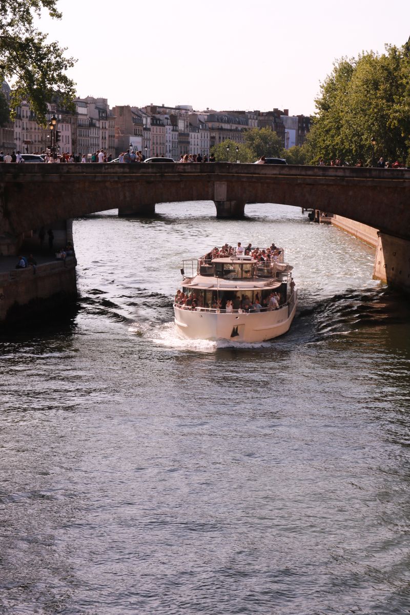 Tour boat cruising on the Seine under a historic stone bridge on a bright summer day