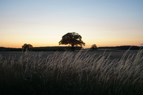 Free Lincolnshire Sky Stock Photo