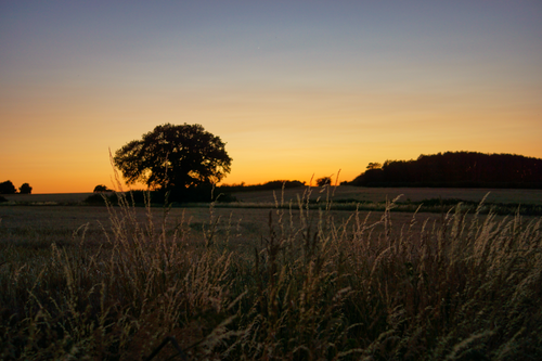 Free Lincolnshire Sky Stock Photo