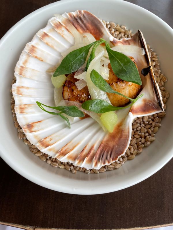 Pan-seared scallop with brown butter and sea vegetables