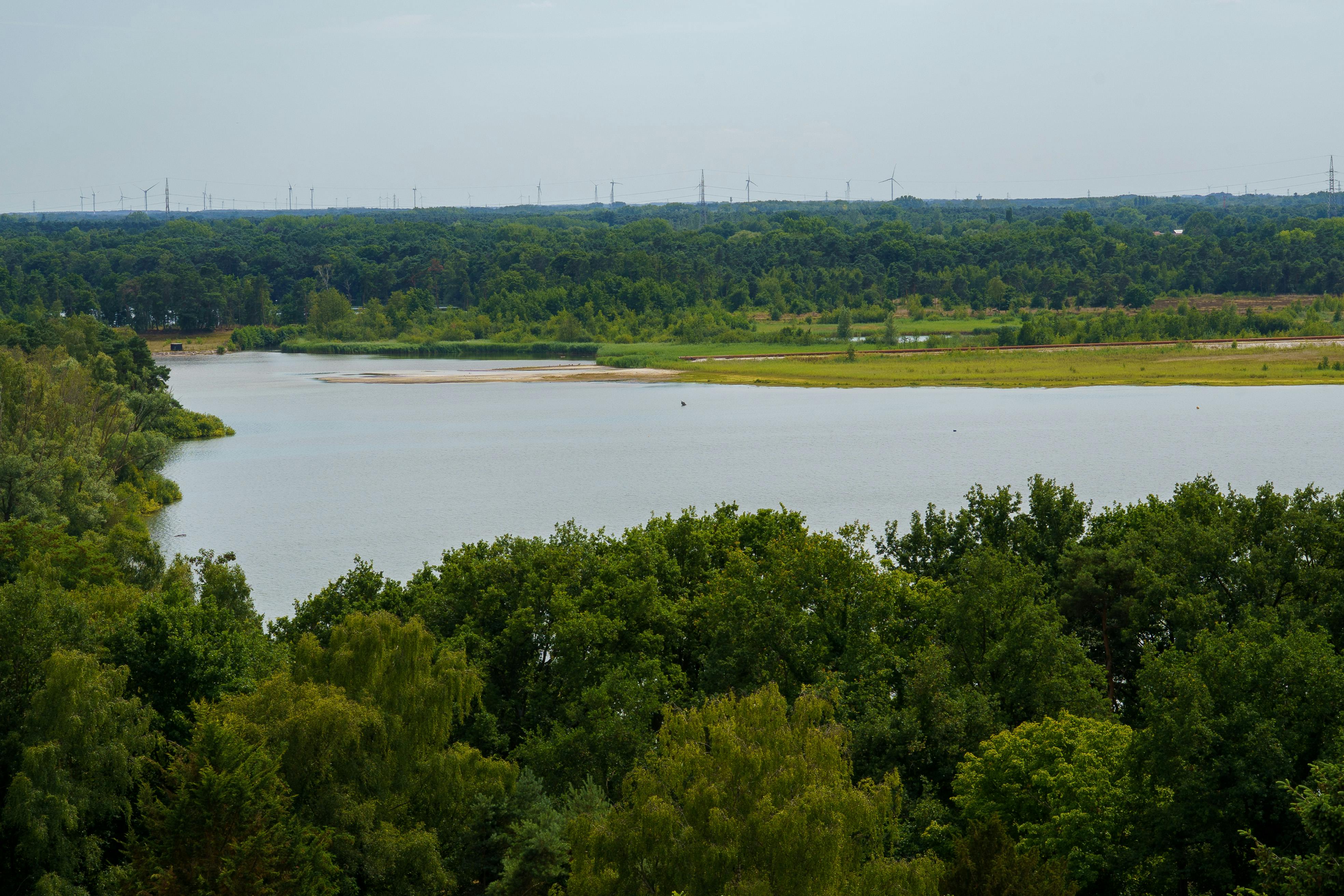 Natuurgebied Bovendijk
