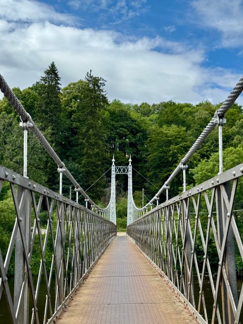 Free Suspension bridge in lush forest landscape, perfect for travel and nature themes. Stock Photo