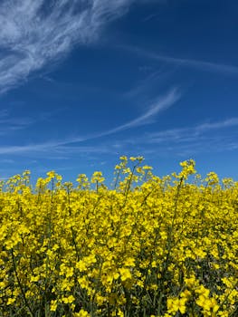 Image by Ivanna Lebediuk