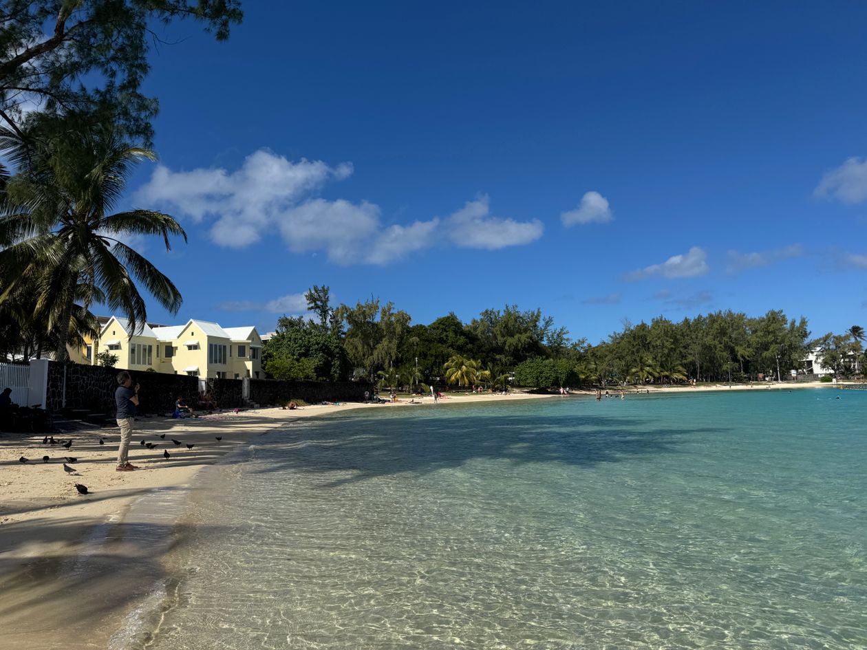 Cazare în Mauritius: plaja publică din Blue Bay, cu case și filaos pe mal