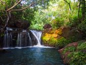 A beautiful waterfall surrounded by dense forest showcasing nature's tranquility.