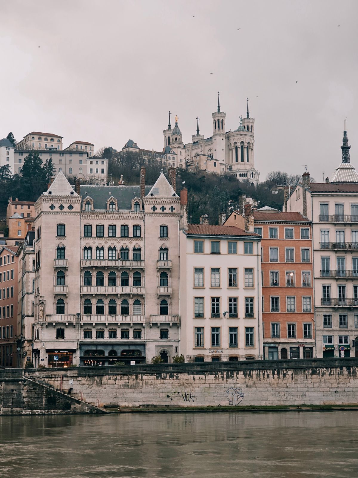 Vue panoramique de Lyon avec la basilique de Fourvière dominant la ville