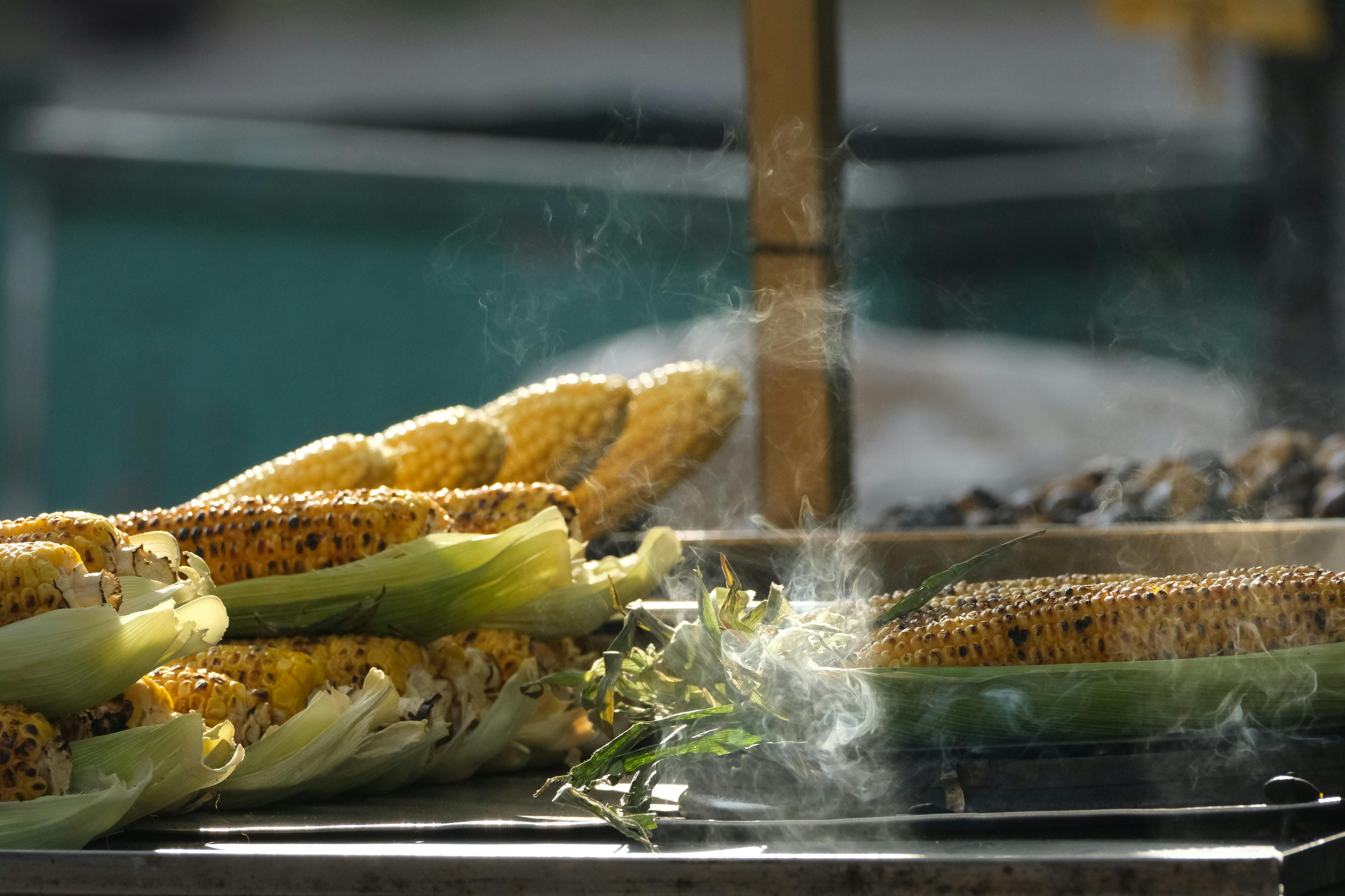 National Corn Growers Association and Ag Data Transparent Release Transparency Principles for Ag Carbon — Photo by Renkgezgin
