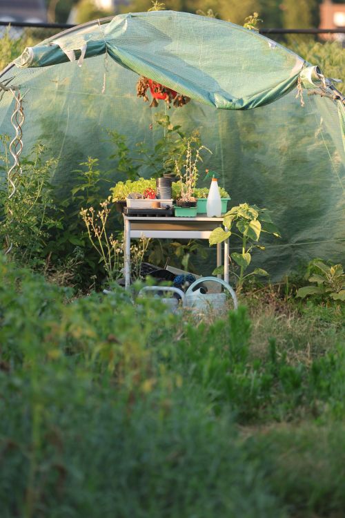 Small greenhouse with a potting bench and seedling trays — photo by Ann H on Pexels
