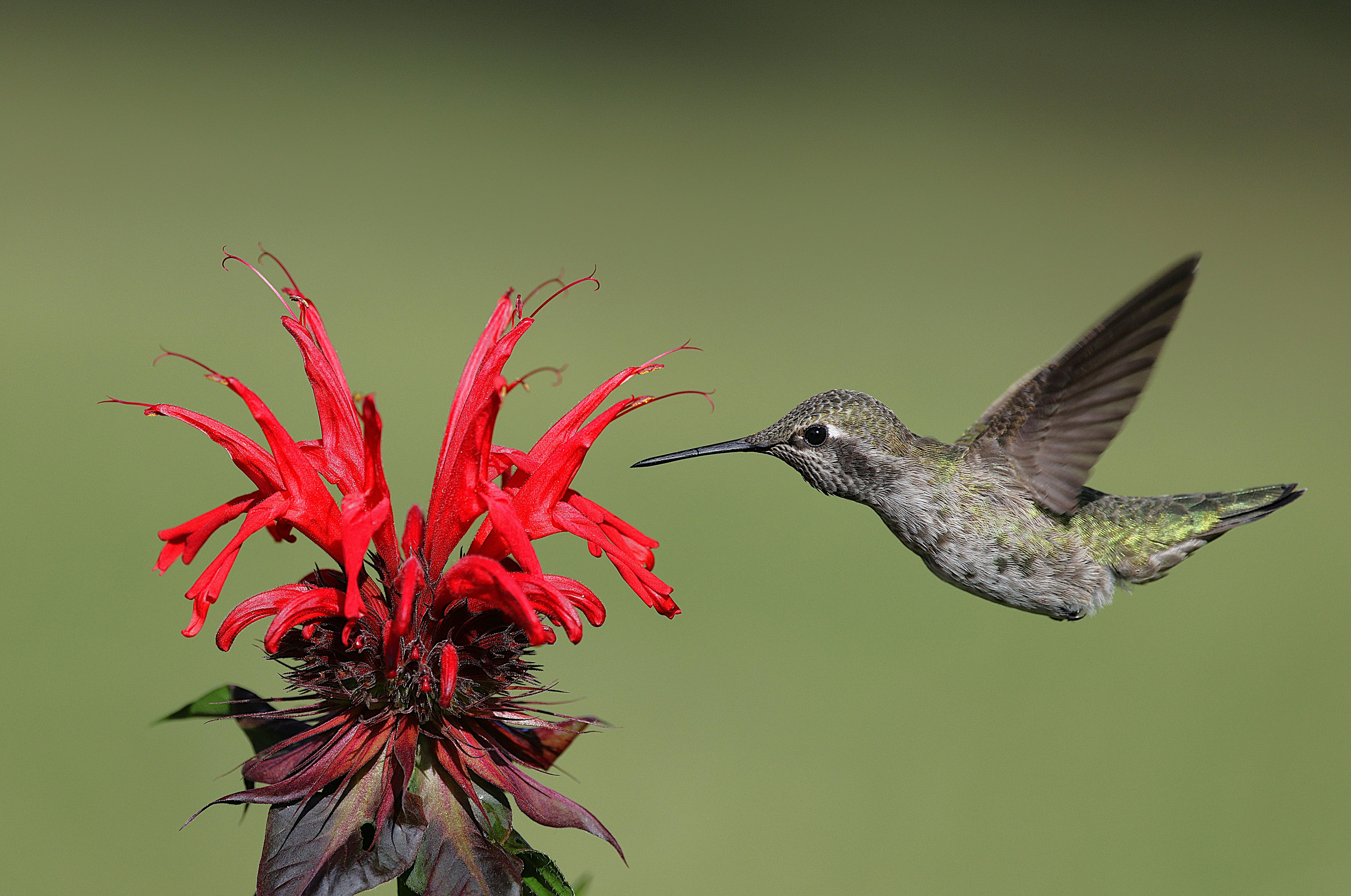 Популярные вопросы и ответы
