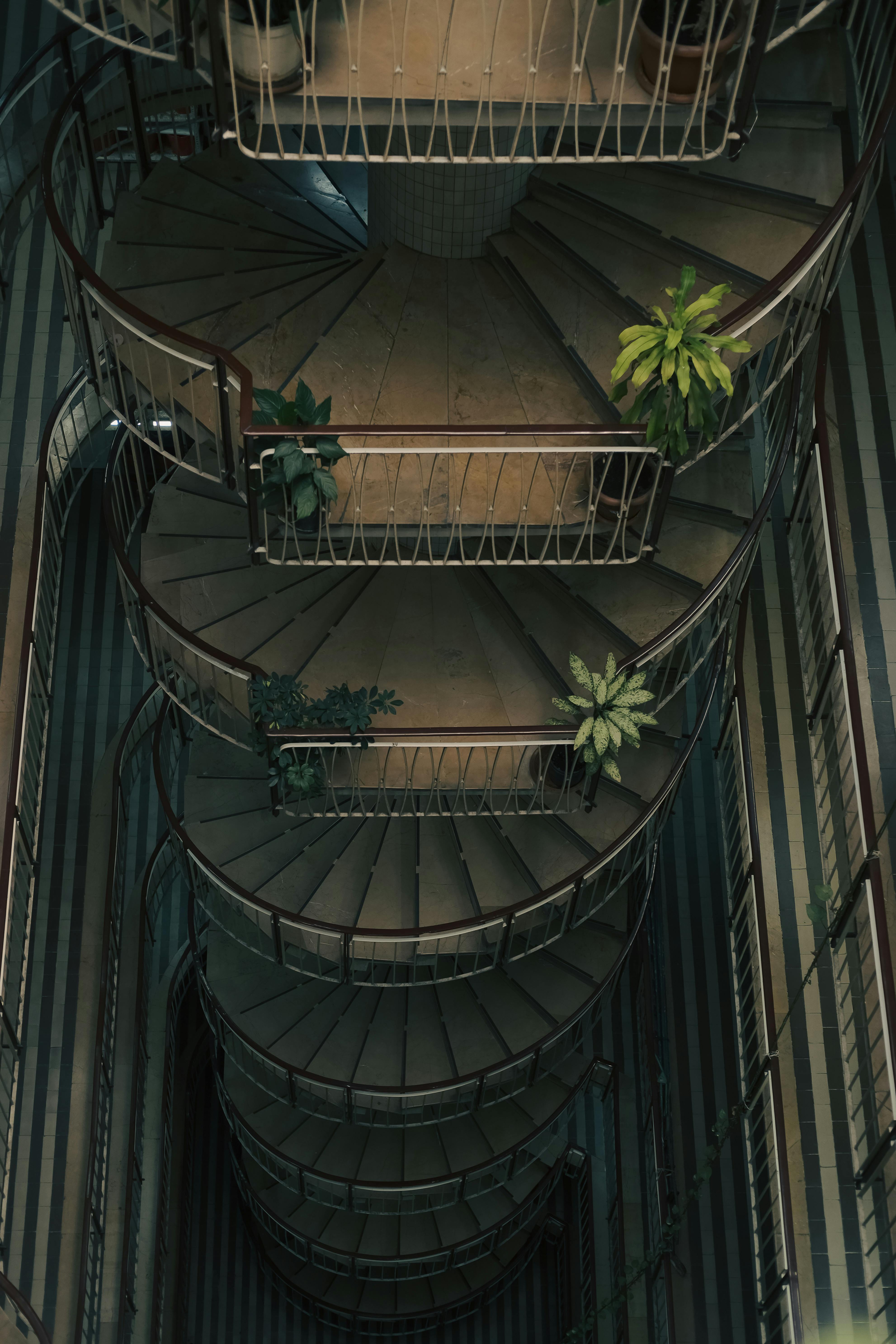 Aerial view of a dimly lit spiral staircase adorned with green indoor plants.