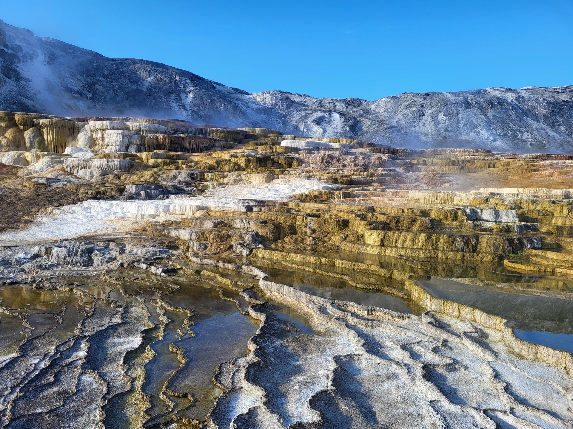 Beautiful geothermal terraces at Yellowstone National Park with vivid mineral formations.