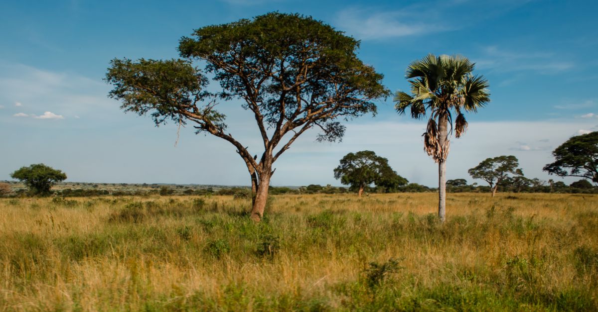 Uganda y la necesidad de fortalecer la red vial para el crecimiento industrial Uganda y la necesidad de fortalecer la red vial para el crecimiento industrial
