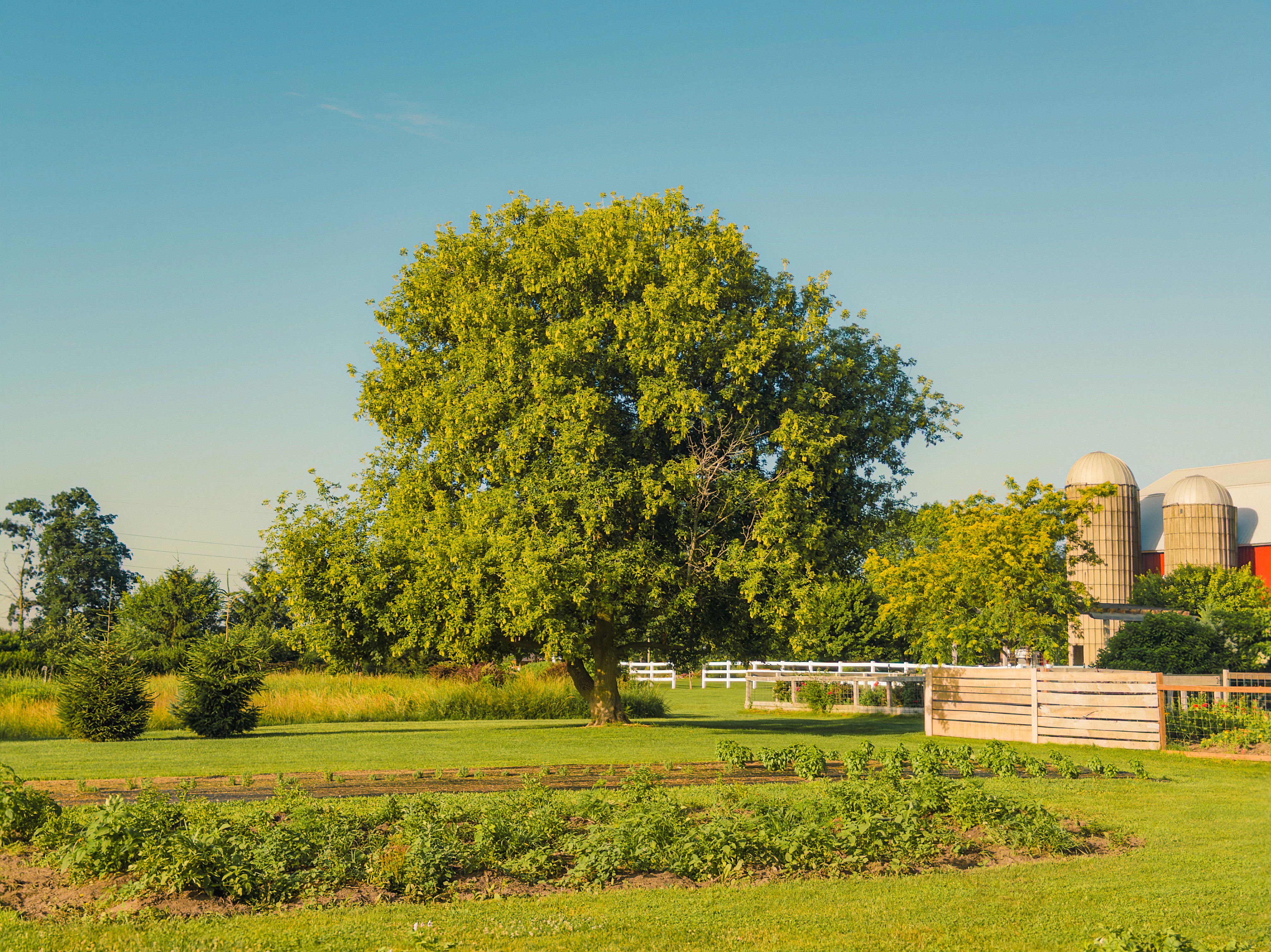Rural Farm Scene with Lush Greenery in Michigan · Free Stock Photo
