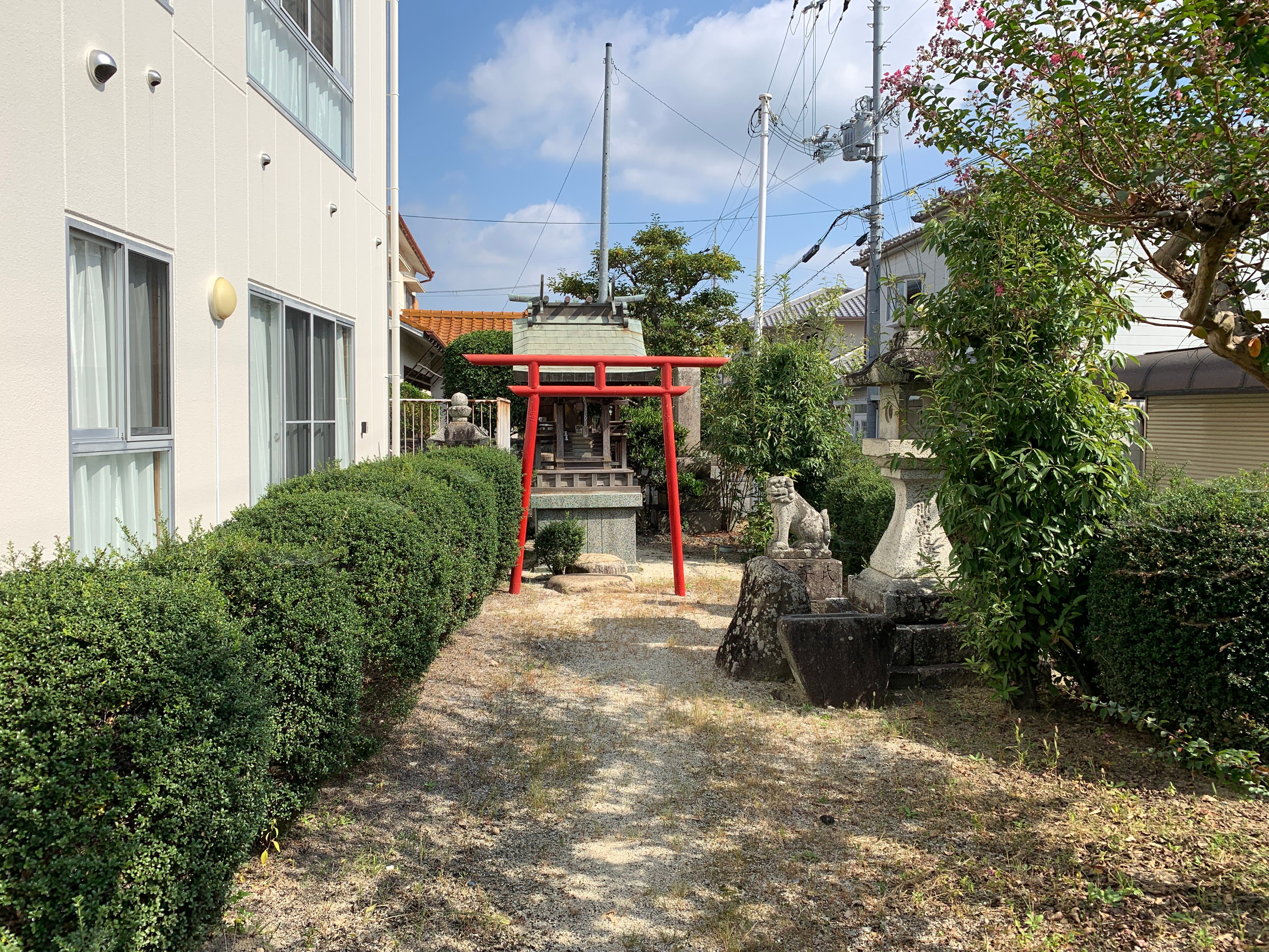 Gate Gato Photos, Download The BEST Free Gate Gato Stock Photos & HD Images