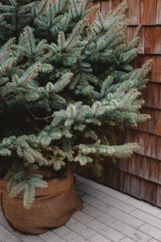 Close-up of a Christmas tree with rustic decorations in an indoor setting.