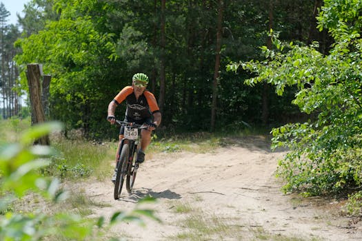 A mountain biker competes on a sunny trail through a lush forest.
