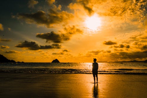 Silhouette of Person Standing on Seashore 