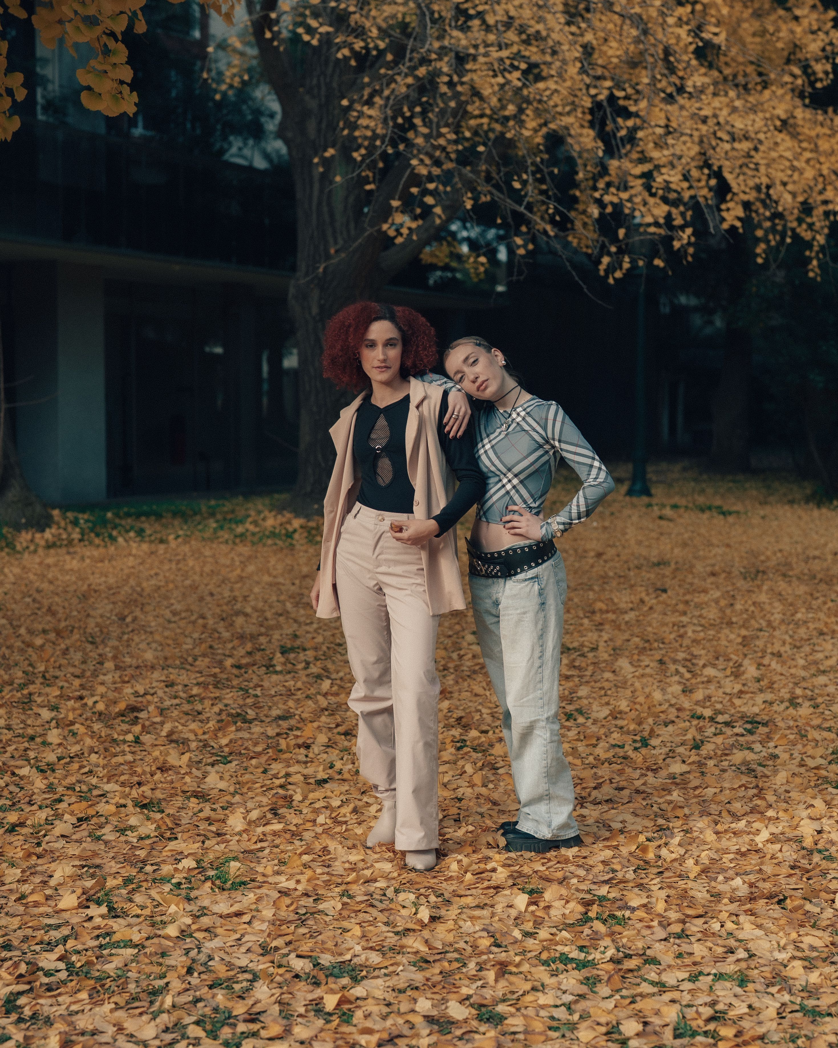 Autumn Leaves Friends Photos, Download The BEST Free Autumn Leaves ...