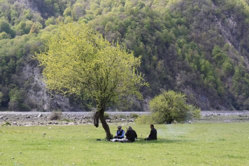 Free People enjoying a peaceful picnic under a tree in a lush, mountainous landscape during spring. Stock Photo