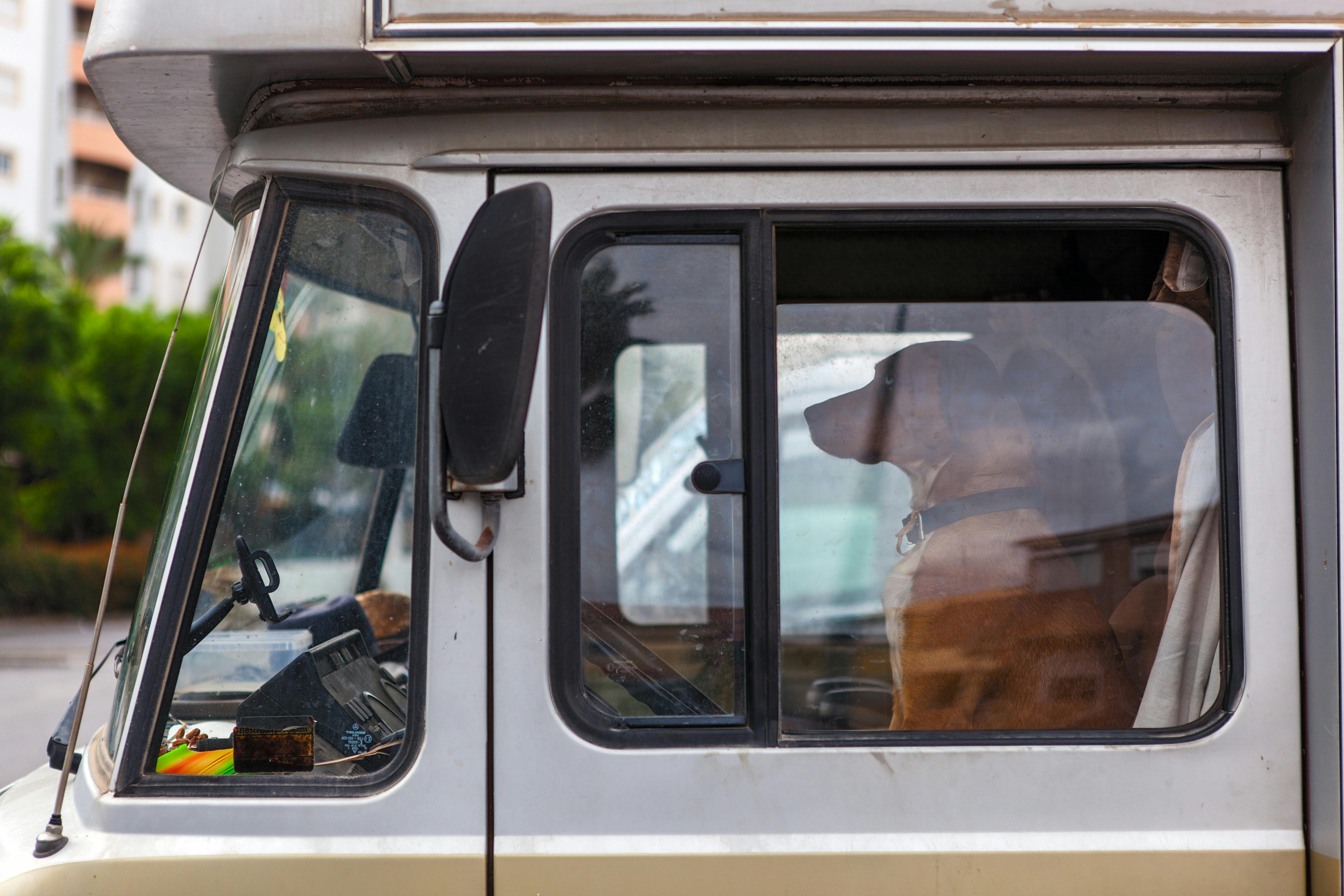 Mathieu van der Poel: A Cycling Phenomenon