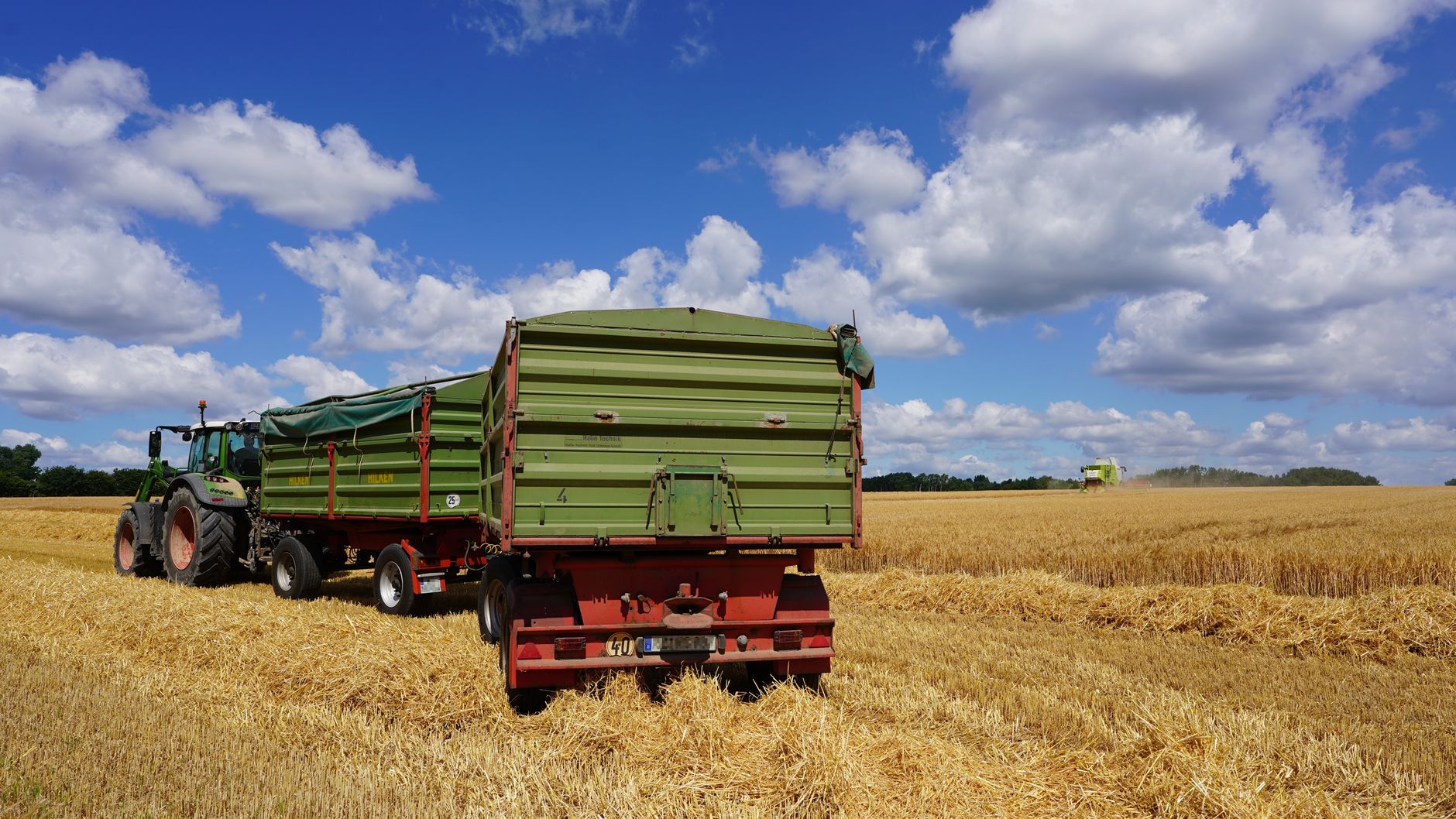 farm field harvest crops photograph for this story