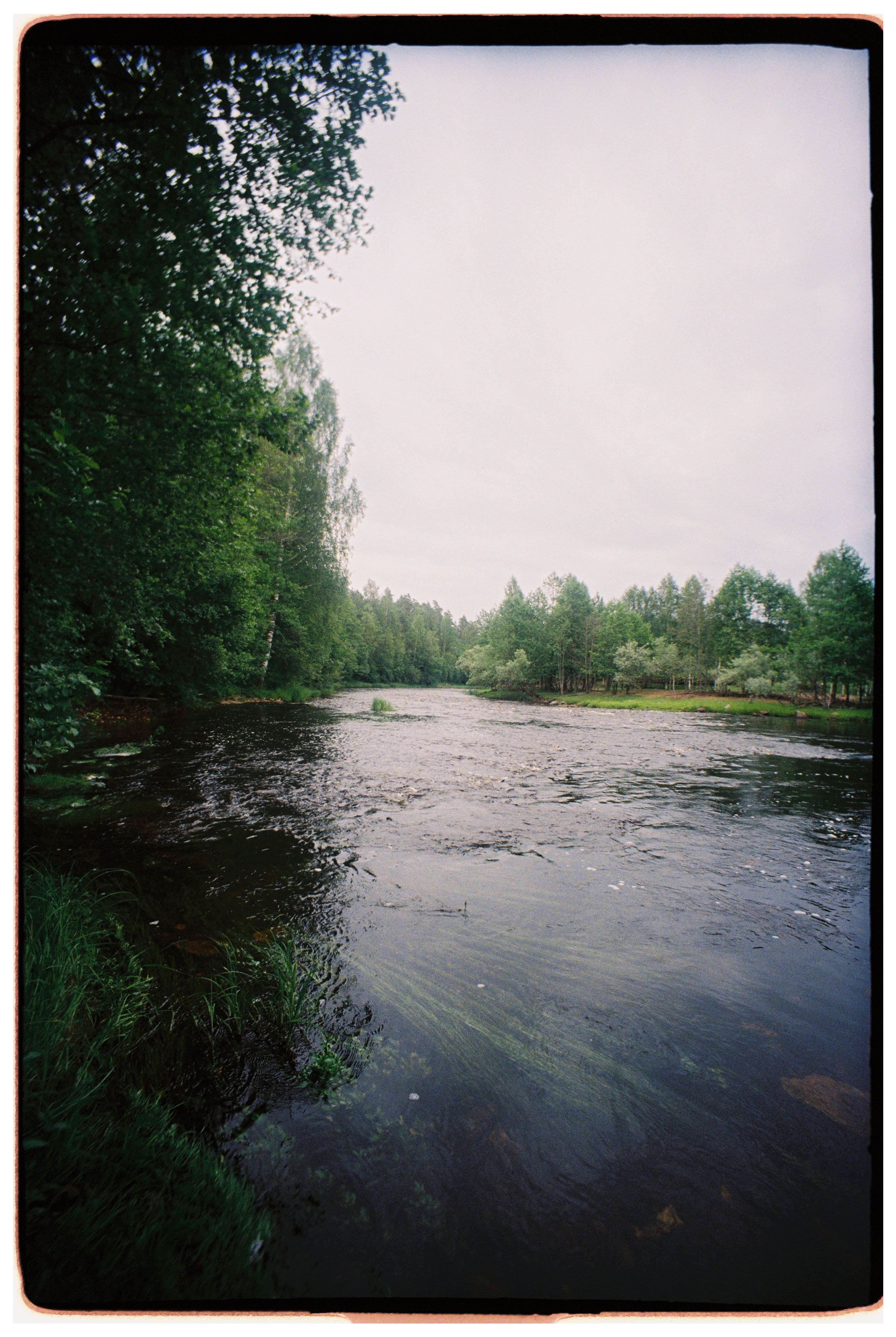 Peaceful river flowing through a lush green forest, creating a serene summer scene.