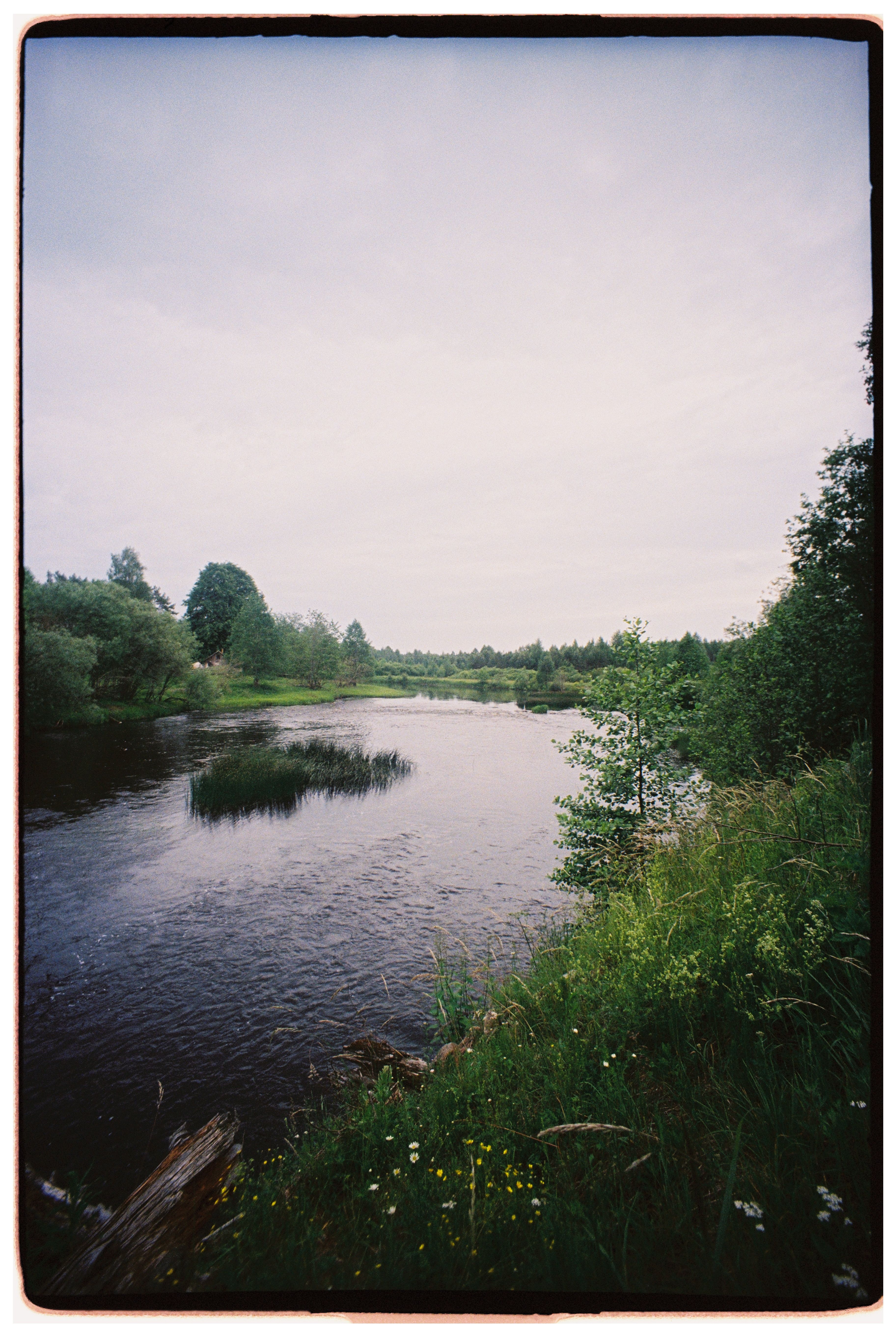 A tranquil river flowing through lush greenery under a calm sky, perfect for nature lovers.