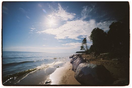 Peaceful beach with rocks, trees, and bright sunshine under a blue sky.