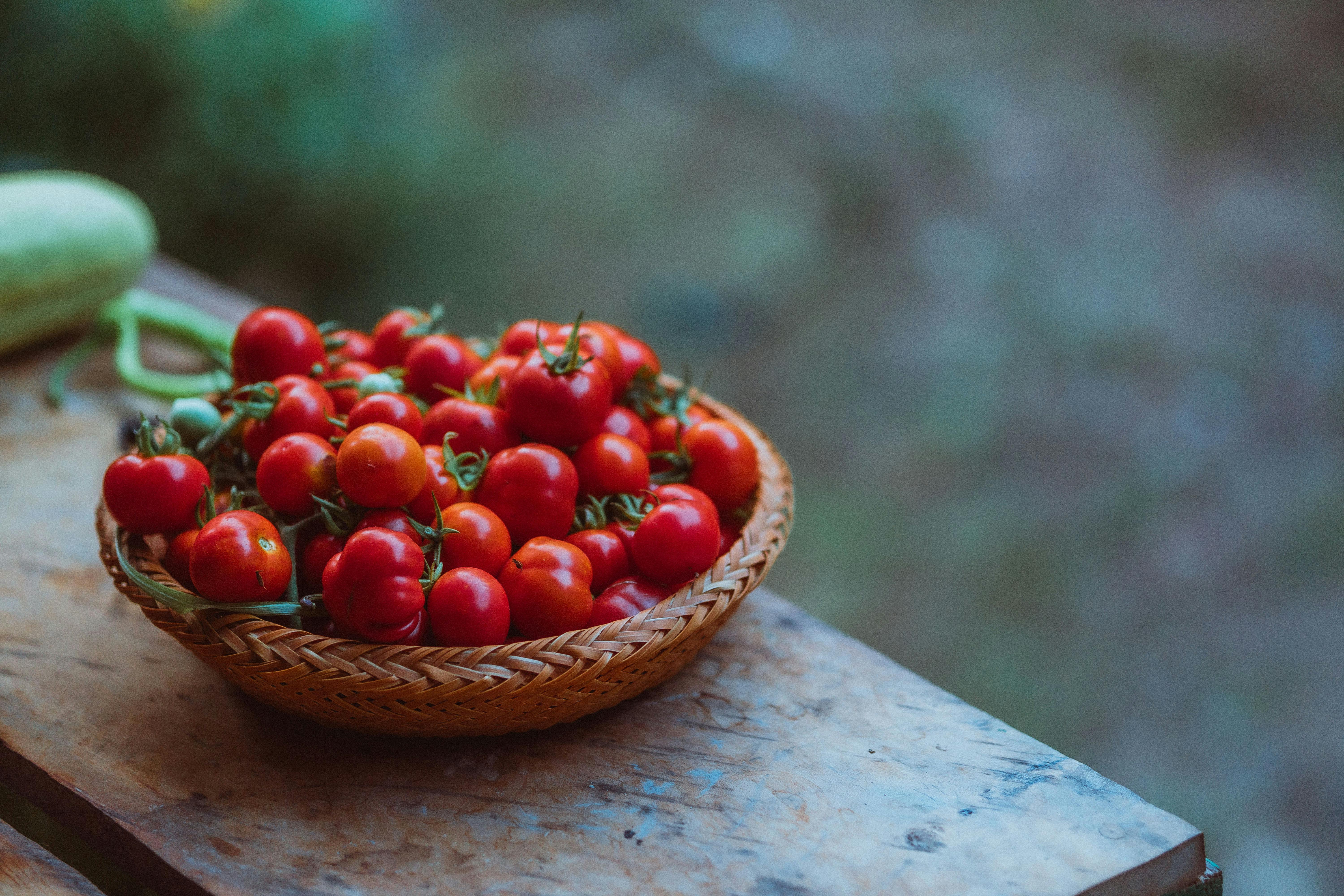 Rotten Tomatoes Awards: Best Movies &amp; TV Winners 2025 — Photo by TIVASEE . on Pexels