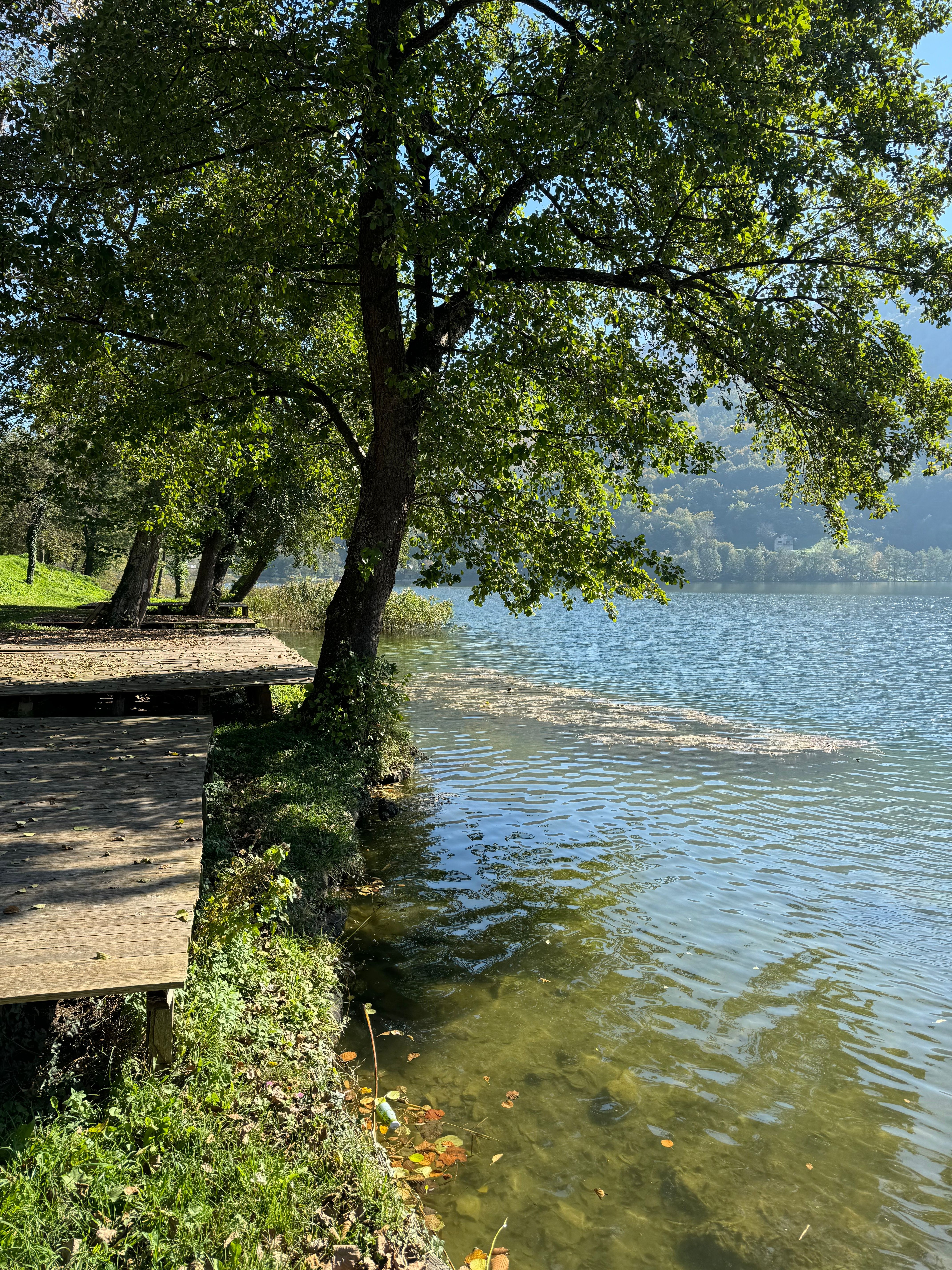 Alpsee