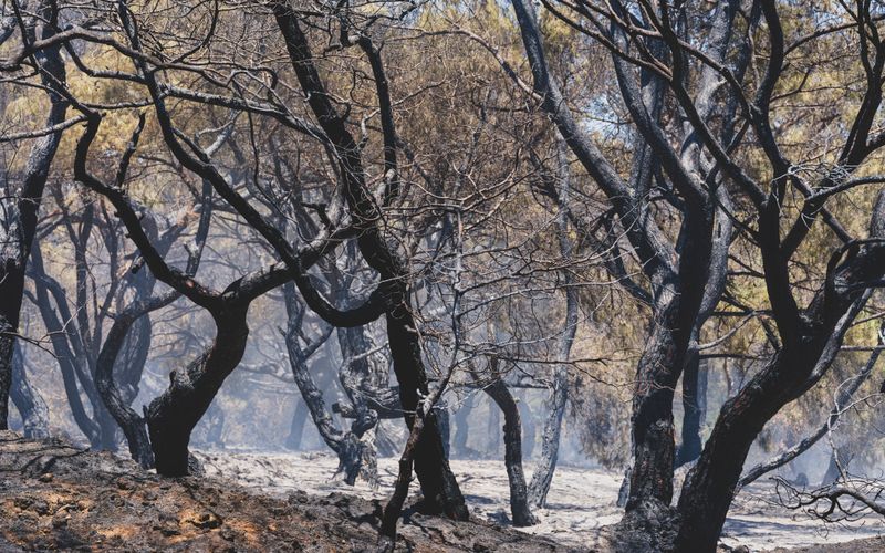 Rising Wildfire Threats Force Lodging Operators to Rethink Property Protection