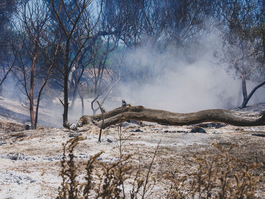 Mizuho cuts PG&E target to $16 on California wildfire reform failure
