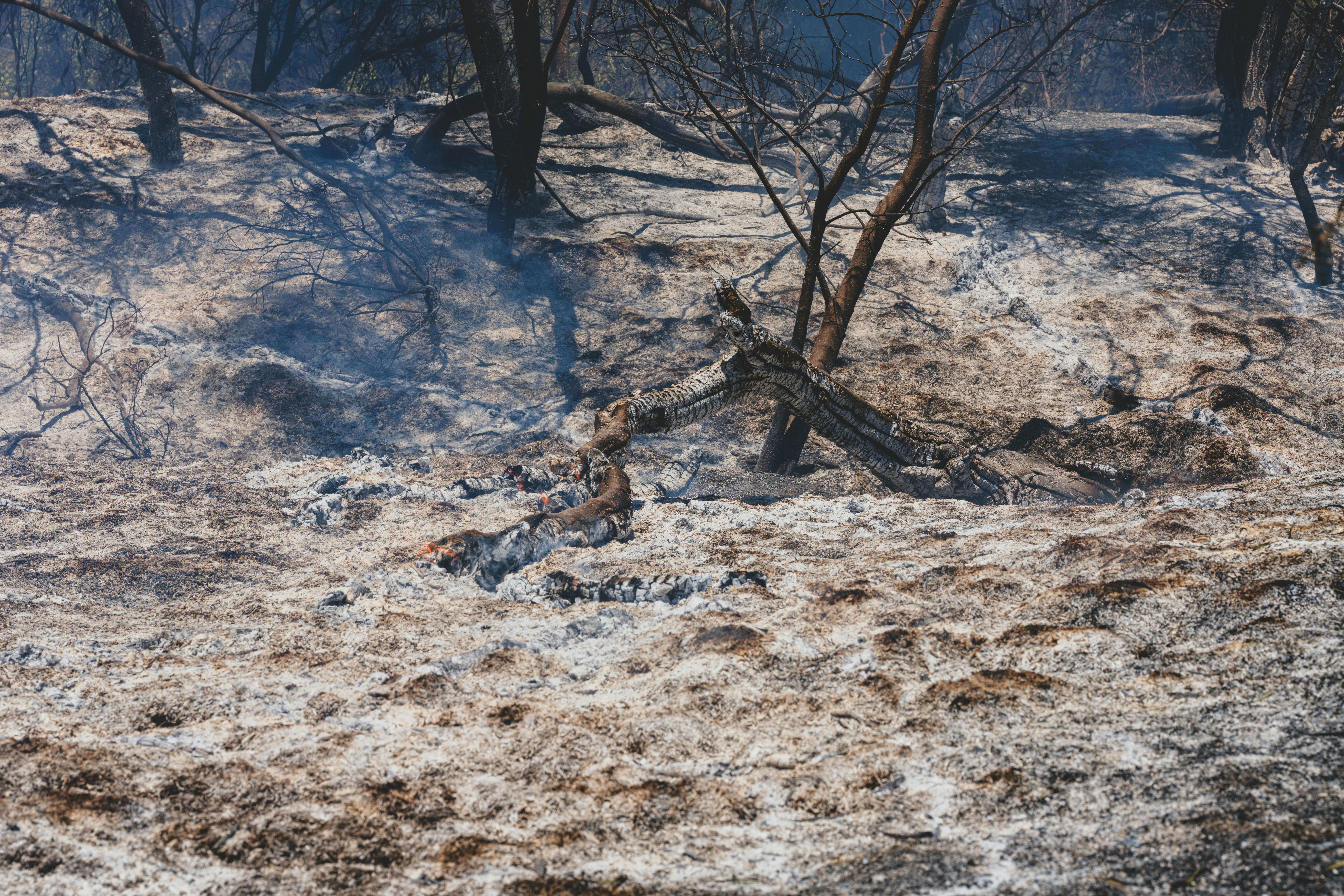Climate disasters strain Hawaii’s insurance with higher rates, coverage gaps - Hawaii Tribune-Herald — Photo by Engin Akyurt 
