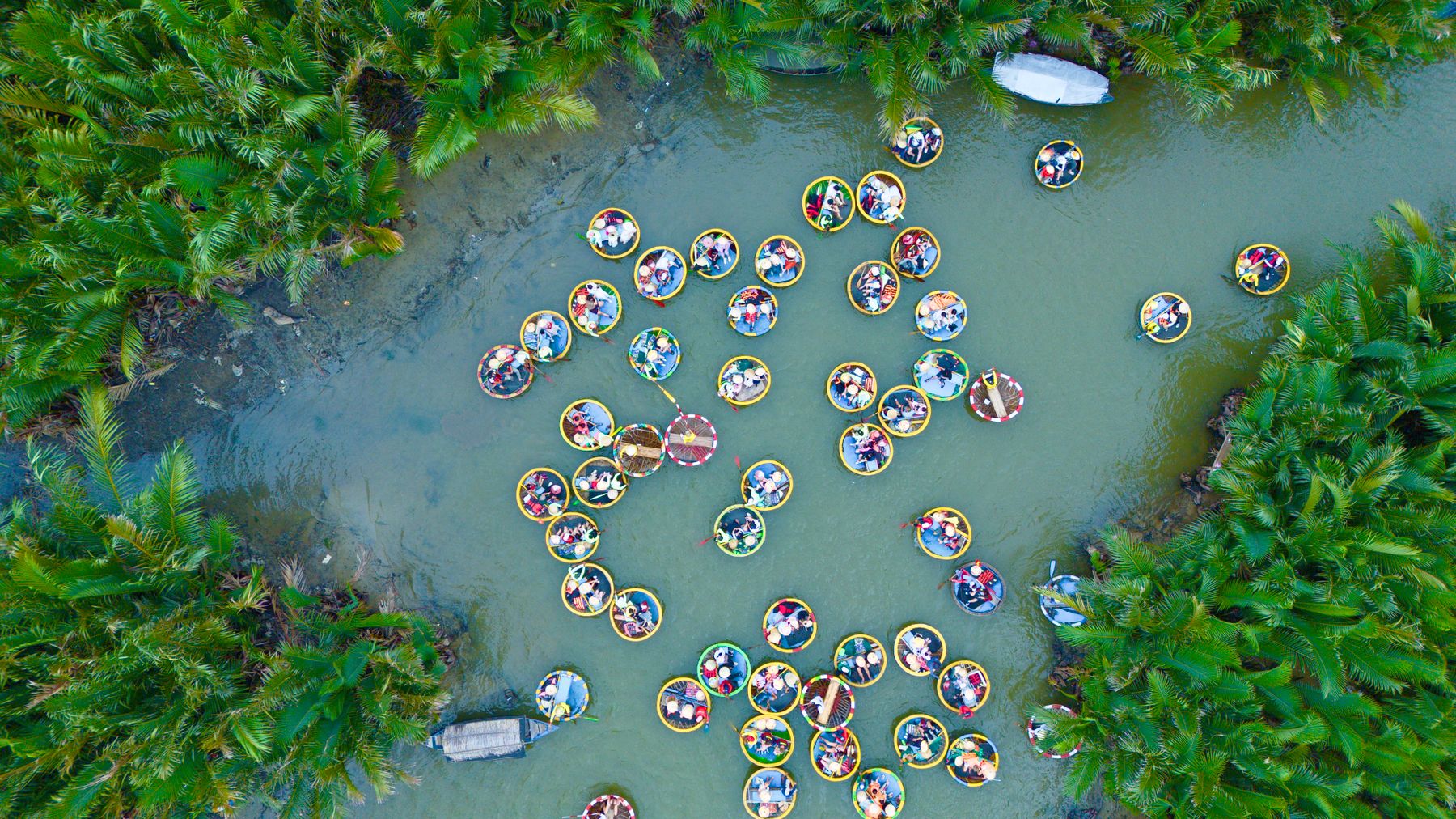 Stunning aerial shot of colorful basket boats navigating lush greens in Hội An, Vietnam.