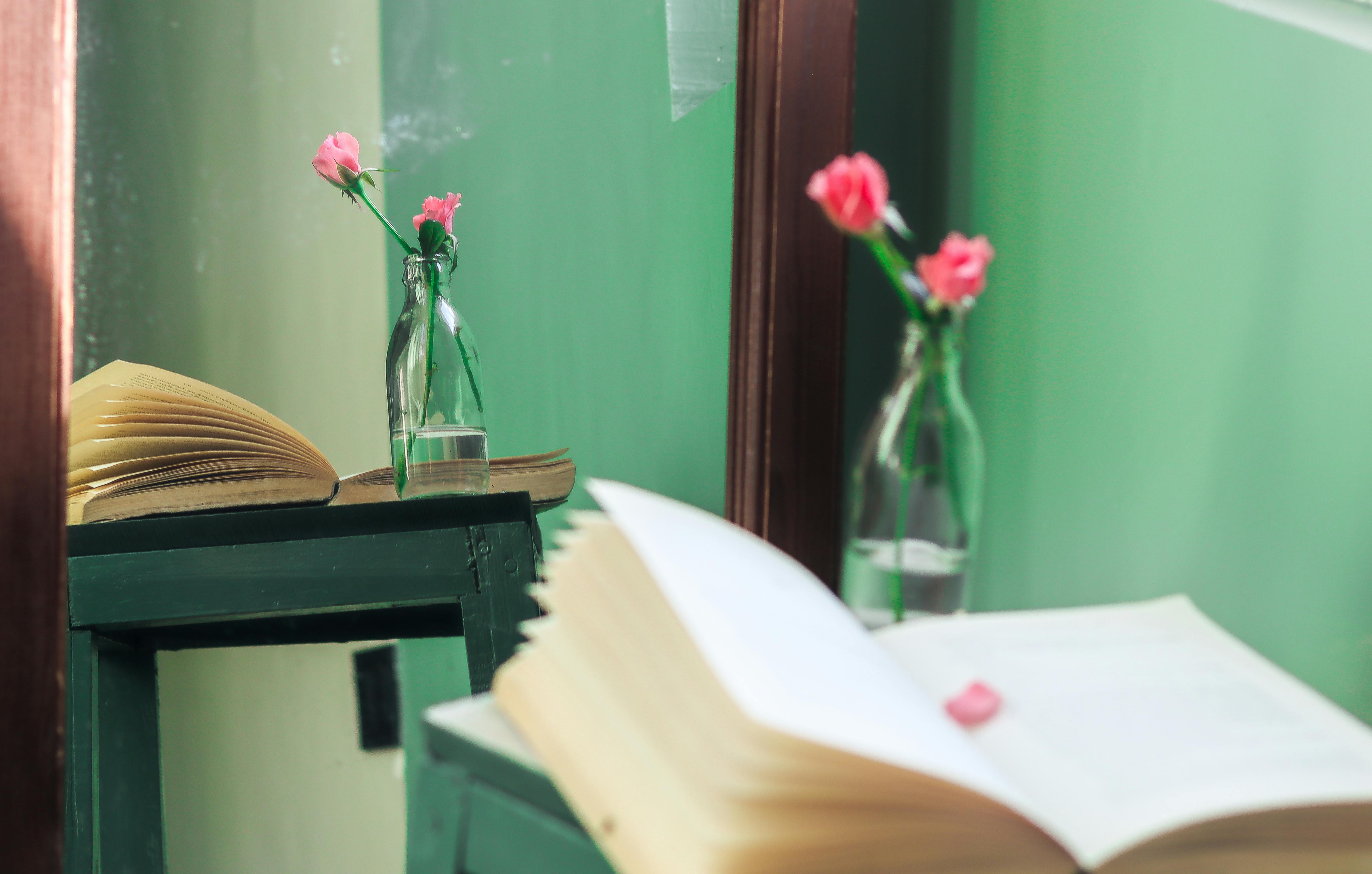 Personal Growth Books That Will Bring Positive Energy for 2026, According to Readers — Photo by Mysara Hassan on Pexels