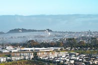 Scenic Auckland Suburb with Morning Fog