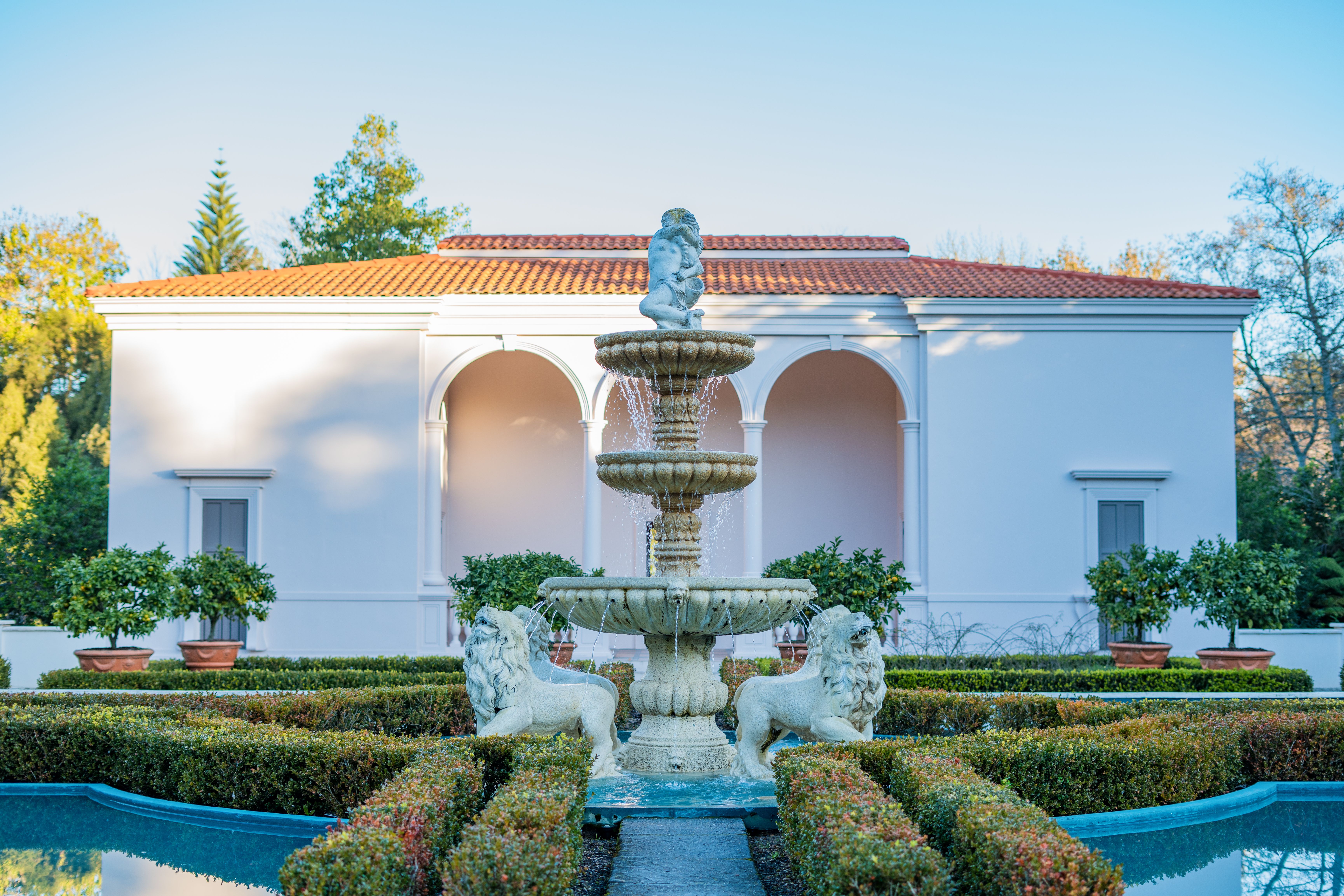 A majestic fountain surrounded by lush greenery in a New Zealand garden, showcasing classic architecture.