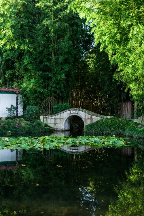 Free A tranquil scene featuring a garden bridge reflecting in a lily pond surrounded by lush greenery. Stock Photo