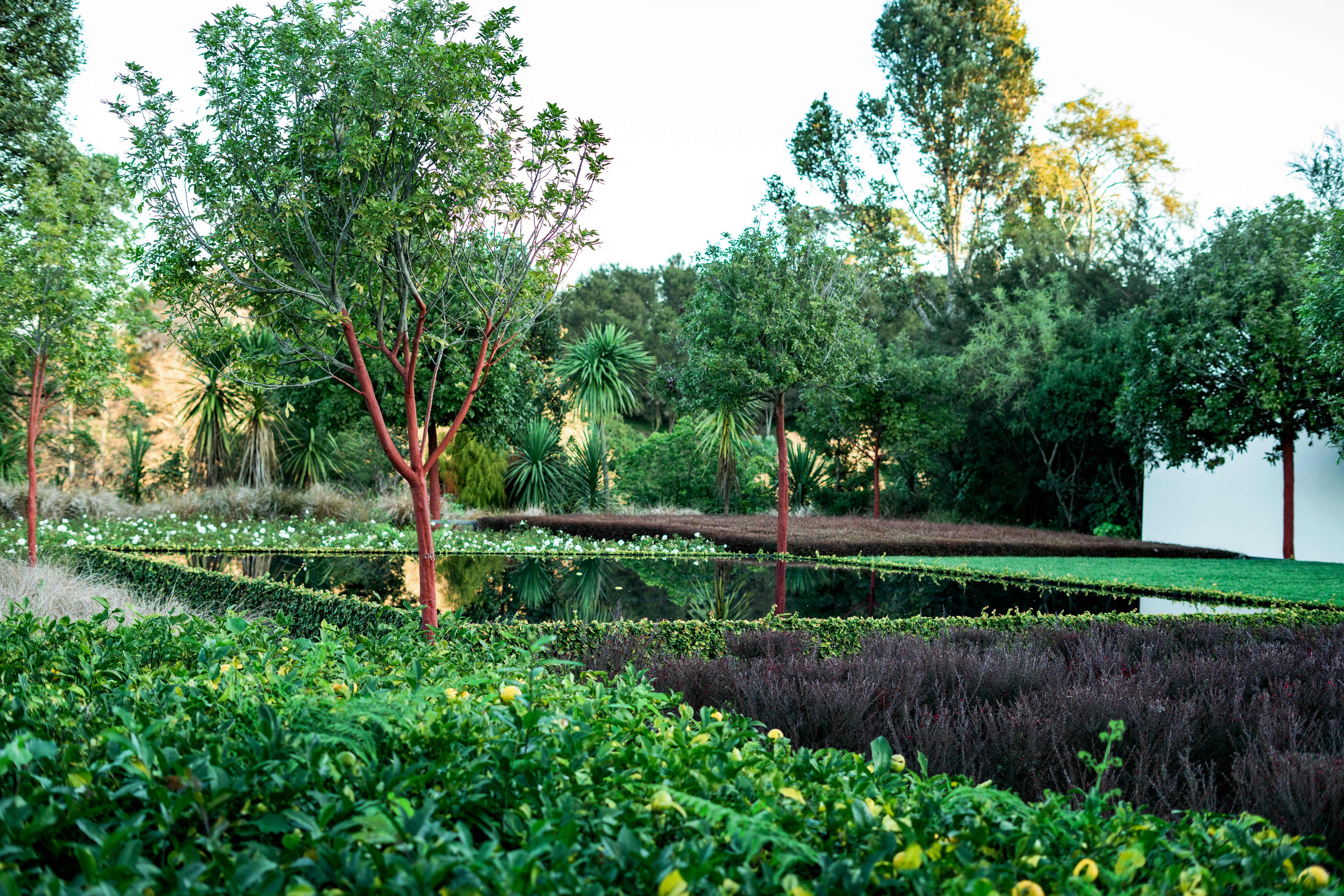 A Landscape Designer’s Favorite Gardening Tools — Photo by Gaurav Kumar on Pexels
