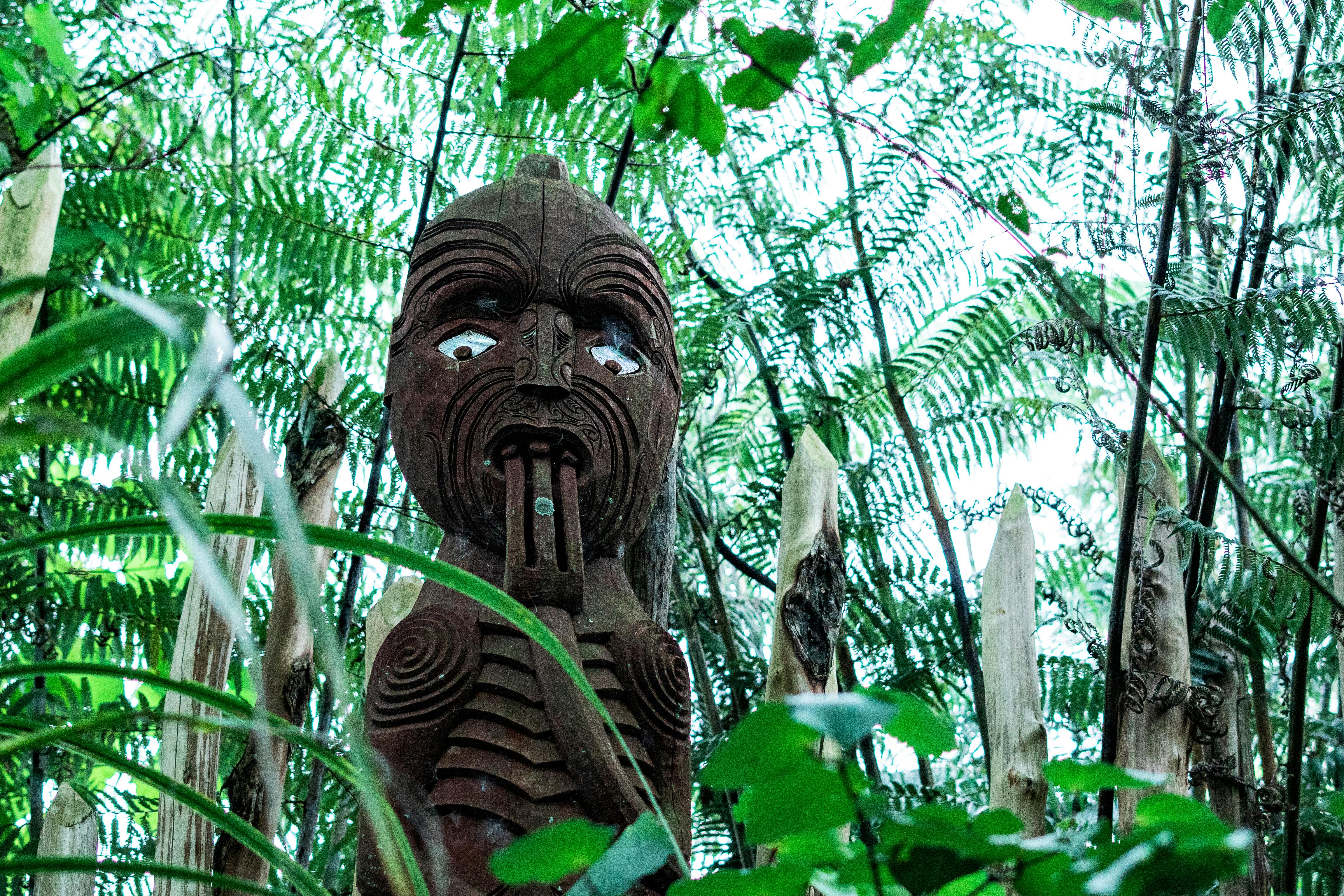 Explore a traditional Maori totem nestled within a vibrant New Zealand forest.