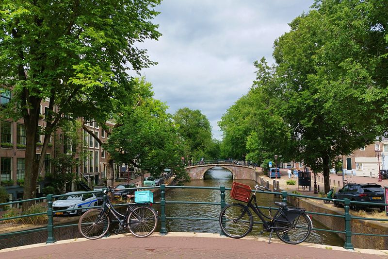 Scenic view of bicycles on a bridge overlooking a canal in Amsterdam, lined with trees and historic buildings.