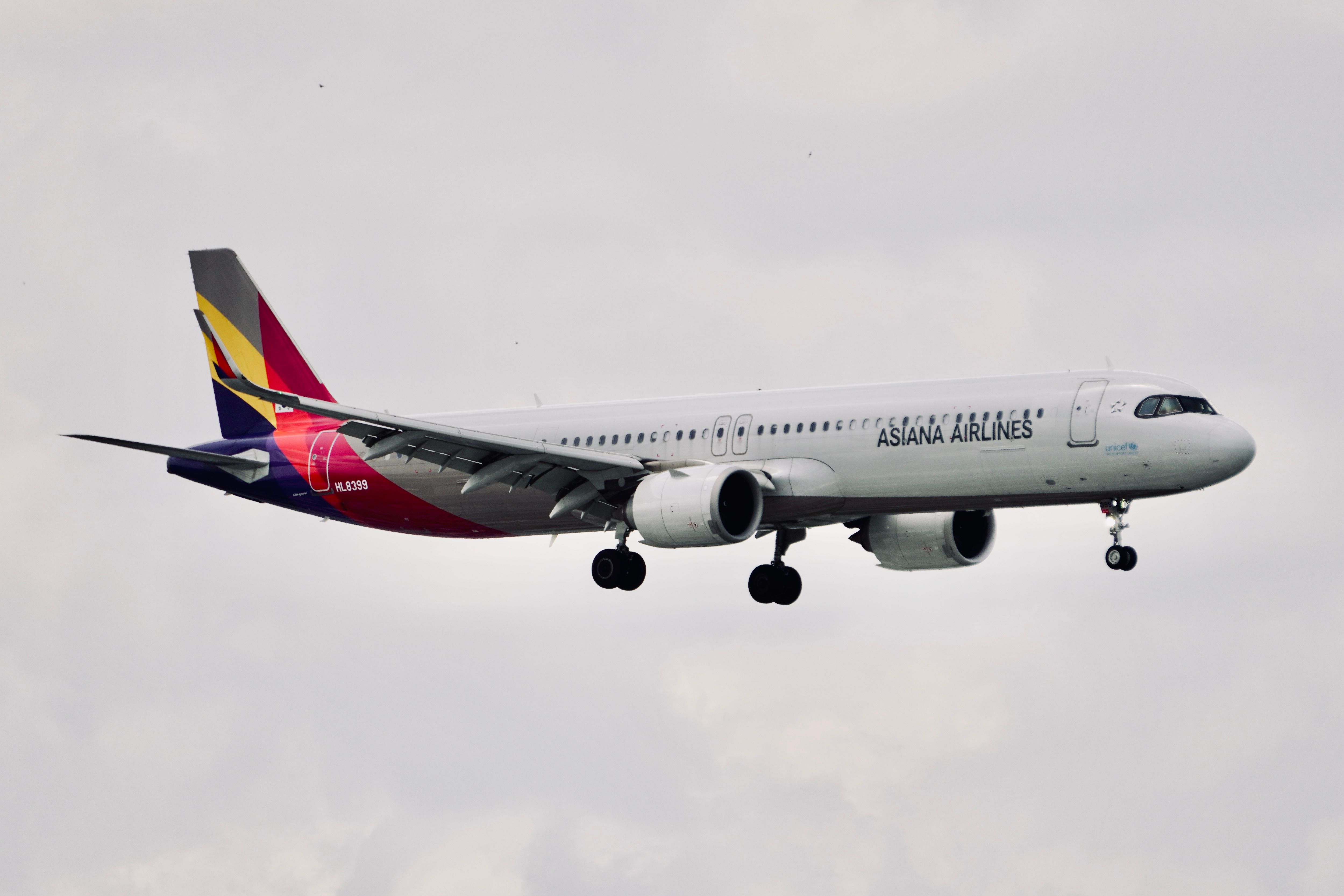 Asiana Airlines Airbus A321 Mid-Air Flight · Free Stock Photo