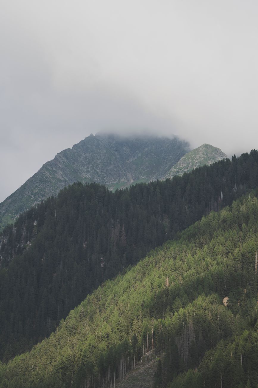 A mysterious mountain peak shrouded in mist and clouds, surrounded by dense forest.