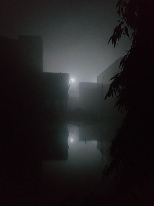 Free Fog Stock Photo