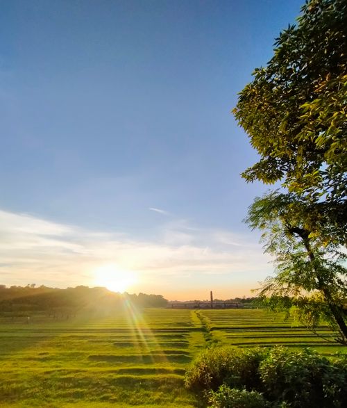 Free Sunset  Stock Photo