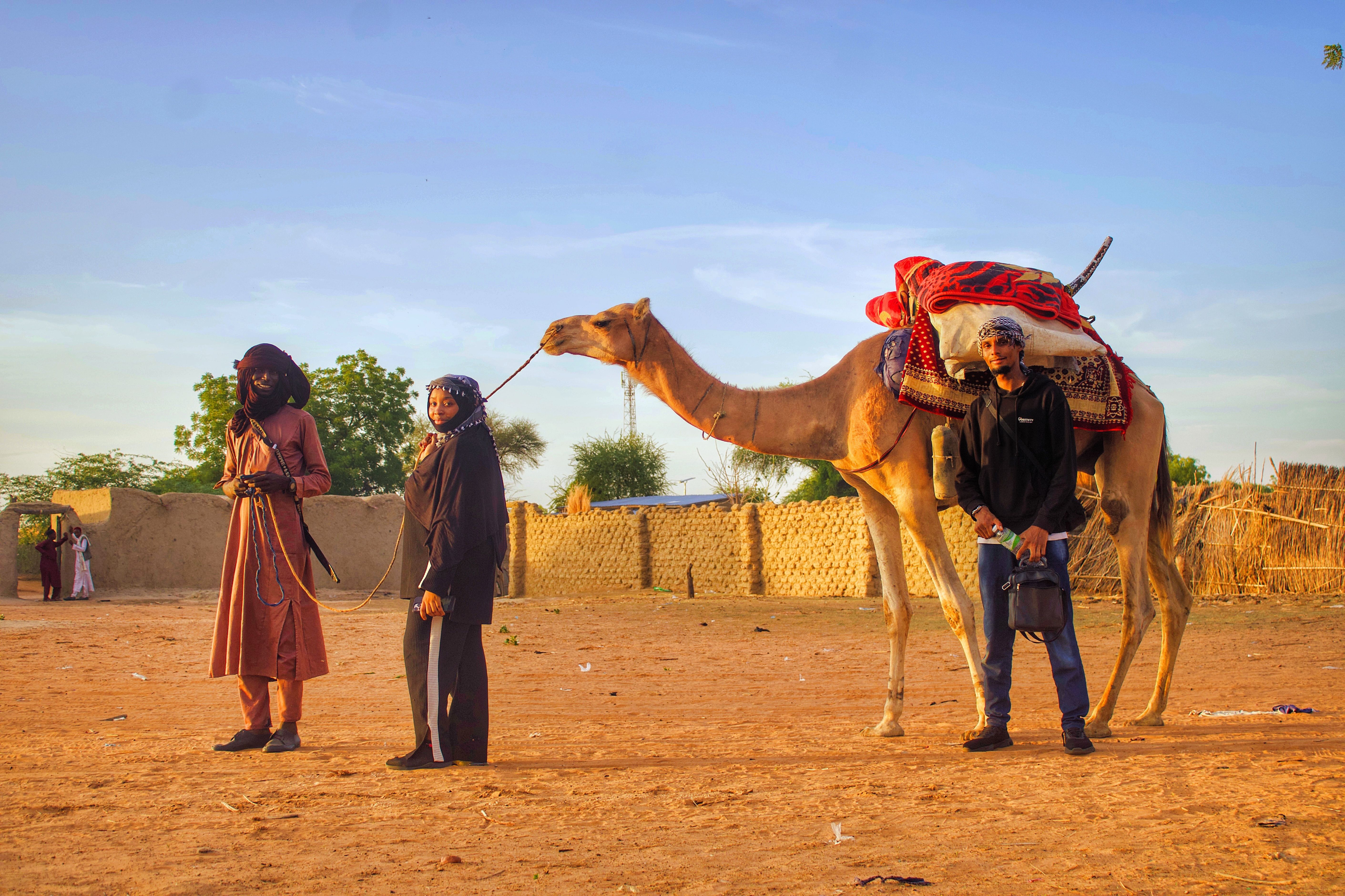 Camel Riders in Traditional Desert Setting at Sunset · Free Stock Photo