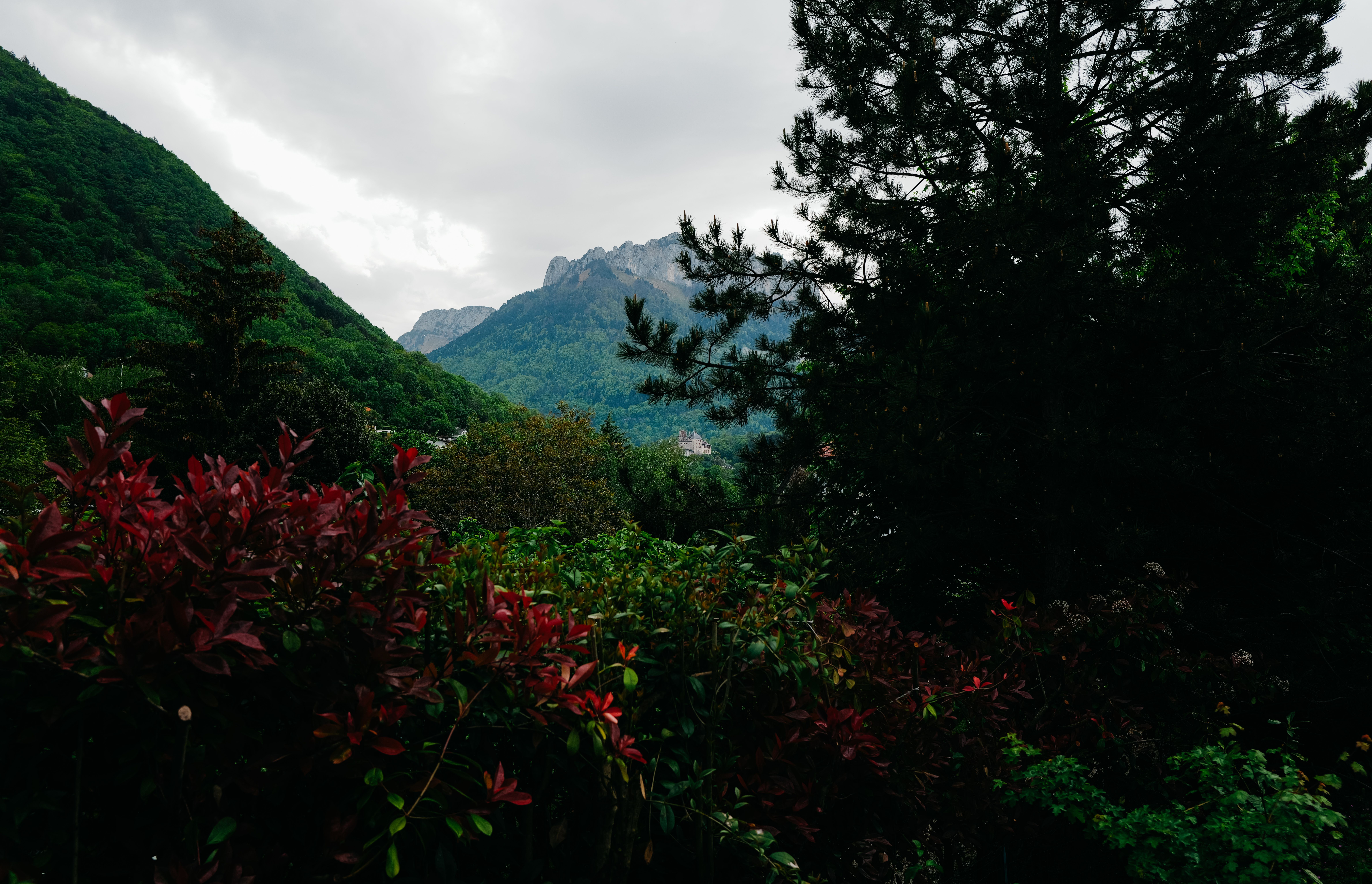 Scenic Mountain View with Lush Greenery and Trees · Free Stock Photo