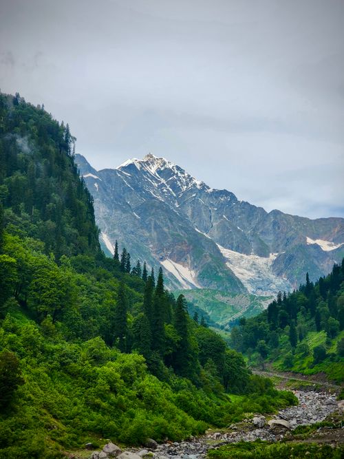 Free Breathtaking view of the snow-covered Himalayan peaks surrounded by lush greenery in Himachal Pradesh, India. Stock Photo